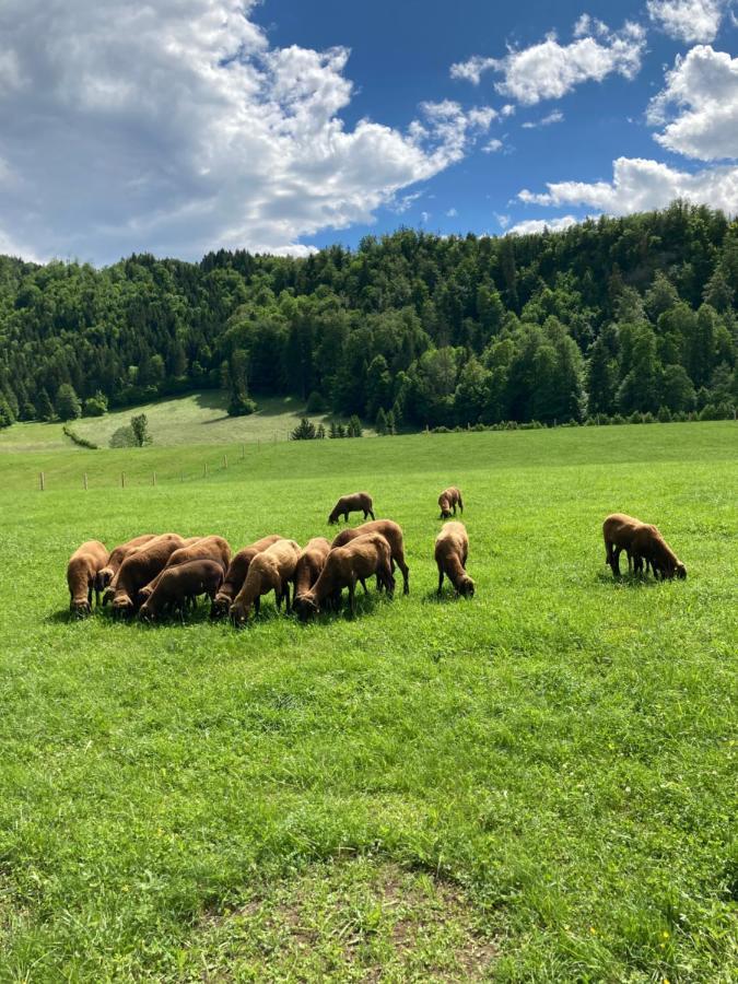Haus Haslach Elsbethen ภายนอก รูปภาพ