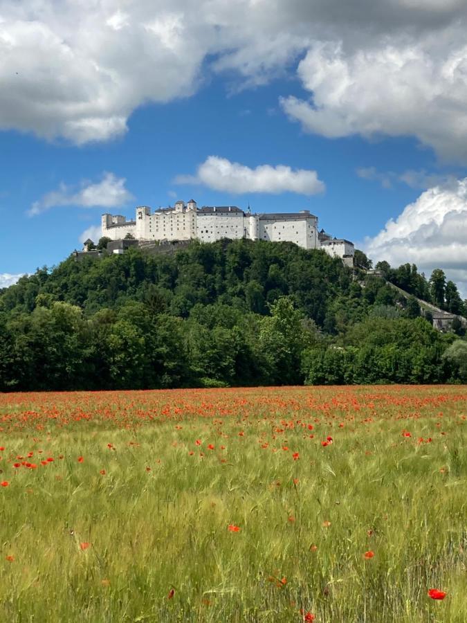 Haus Haslach Apartment Elsbethen ภายนอก รูปภาพ