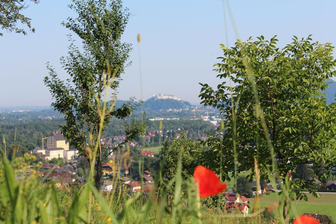Haus Haslach Elsbethen ภายนอก รูปภาพ